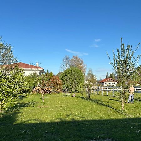 Black Horse Family Apartment - Barrierearm - Pfotenglueck - Familienzeit By Loewenherz Homes Stephanskirchen Екстериор снимка